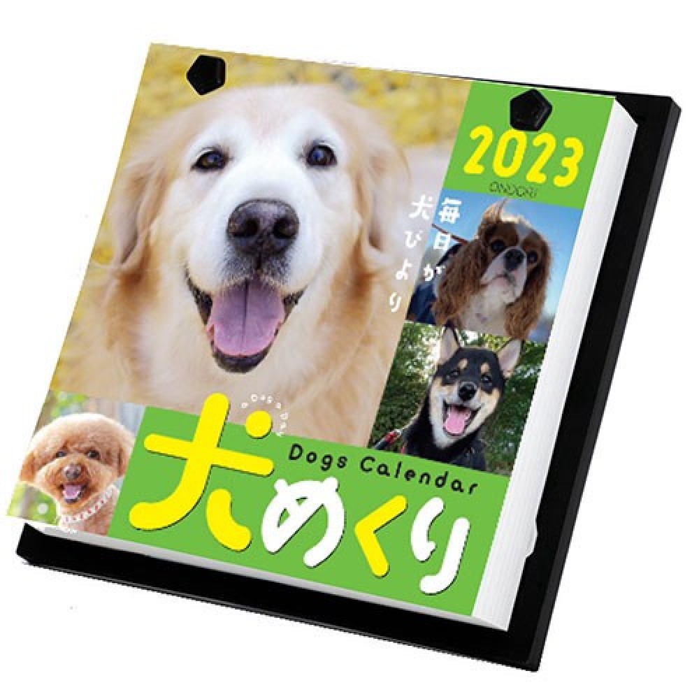 【中央経済社】カレンダー 犬めくり　日めくりカレンダー 2023