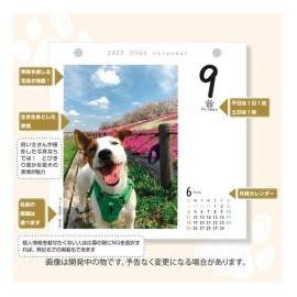 【中央経済社】カレンダー 犬めくり　日めくりカレンダー 2023